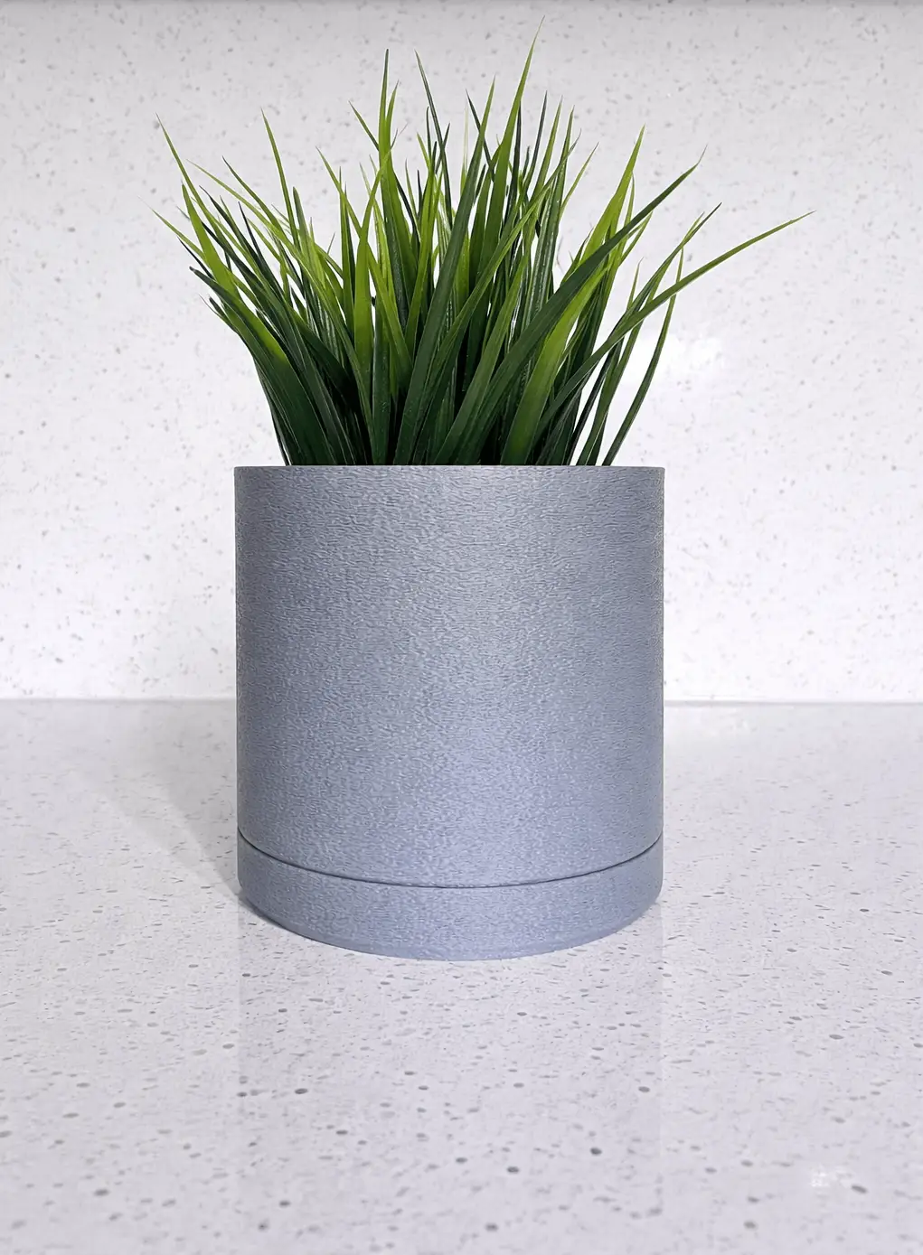 The Fuzzy Skin Planter W/Saucer